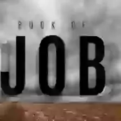 Wednesday 25th. February - 'It's because of...'